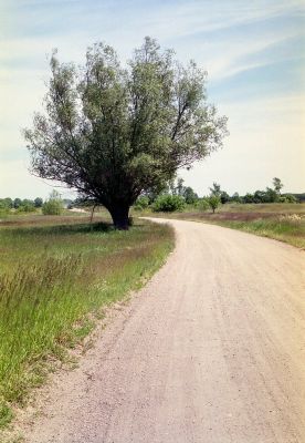 Widoczki na spacerze 2006