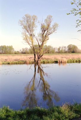 Widoczki, maj 2007