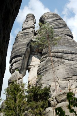 28008033892 3140d52b8d o