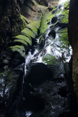 28008038632 92accc52f8 o