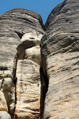 28032986341 25090e8128 o