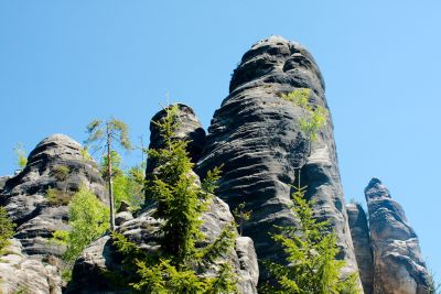 28032998321 95468004be o