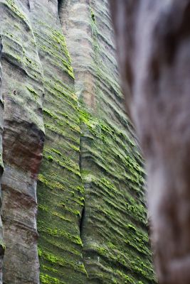 28033025871 866ae70a1f o