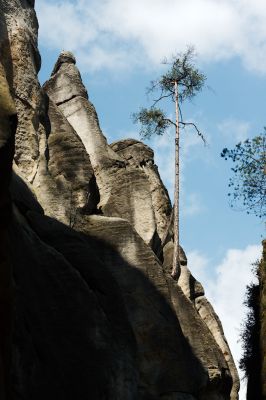 28033061571 2a434c8083 o