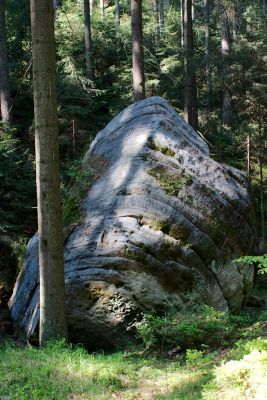 28033103681 da705979d4 o