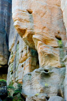 28076705326 c0560e8ed2 o