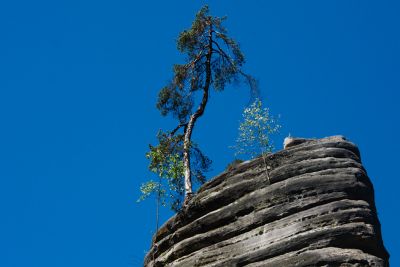 28076708016 b509943e2f o