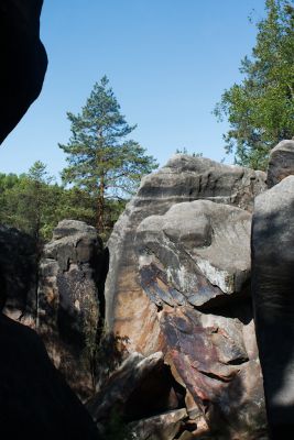 28076710826 cfb68e6413 o