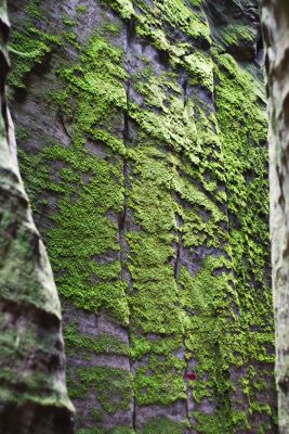 28076716396 fb42be0fbf o