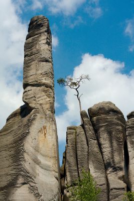 28076733006 95cebbe808 o