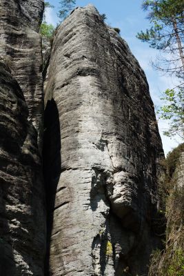 28076738316 72308b2566 o