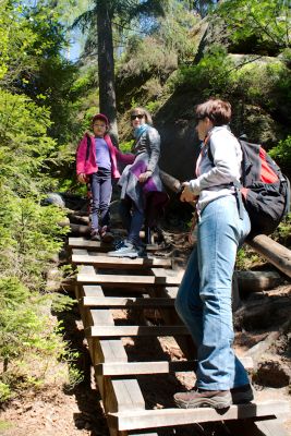 28076744736 ba8d0f5ccd o