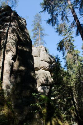 28076748516 6b6fb096c5 o