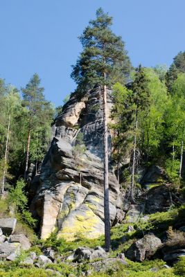 28076764596 968e54e9fc o