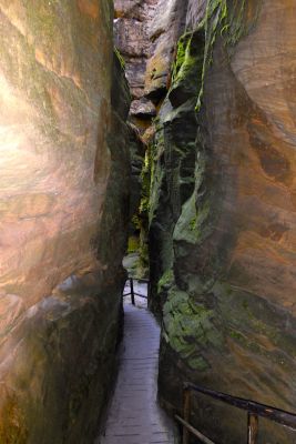 28110504285 f892658996 o