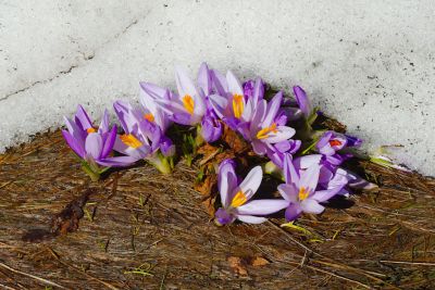 Beskid Żywiecki, maj 2017