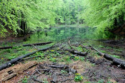 jez duszatyskie 8870152725 o