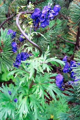 15339415666 0778e62f14 o