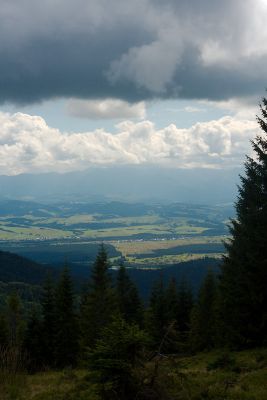 15358081682 e25d606e2a o