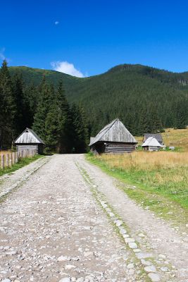 15362132892 b29233766a o