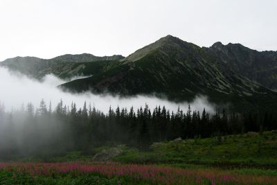 15362424865 001bec1beb o