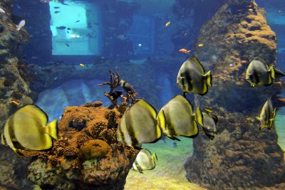 33484724362 08beee6ea1 o