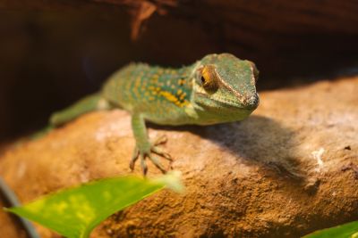 33511929891 b27ac007a5 o