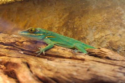 33511932791 01a9b0bb3e o