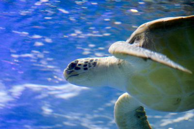 33512009211 2fe044ca21 o