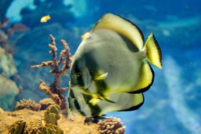 33512021841 6152730256 o