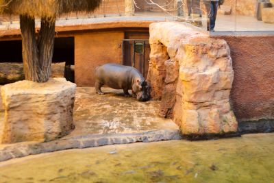 33600627006 2bcc94fab9 o