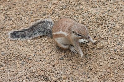 33600639526 2f0b58538f o