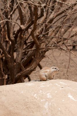 33600640116 63053f1b0e o