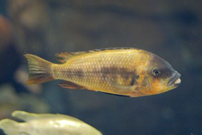 33600642216 3d6384c277 o