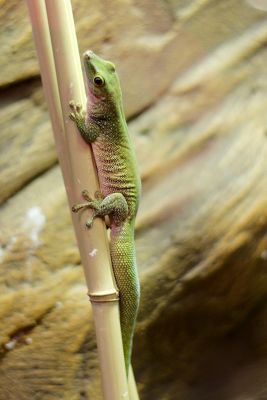 33640957675 afe4ebb180 o