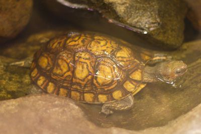 33640963955 3ae2fb3dc4 o