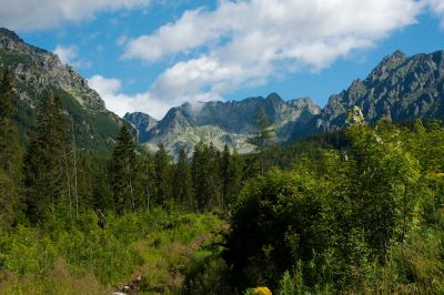 36569574642 fb01f7a64a o