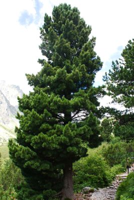 36600252171 0039f0ffc6 o