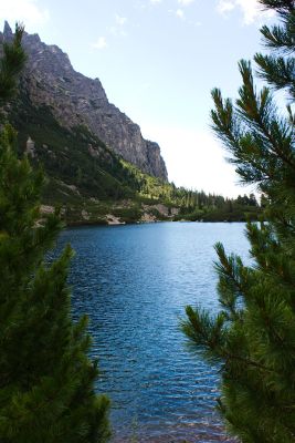 36600256371 890f5d06b2 o