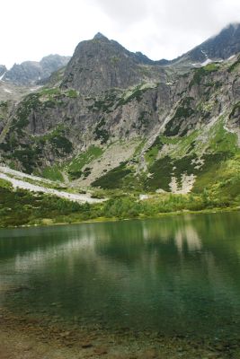 36692183406 15f39a3133 o