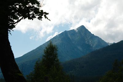 36692382026 75faee7405 o