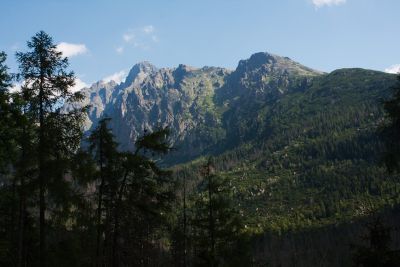 36692409456 0314375e81 o