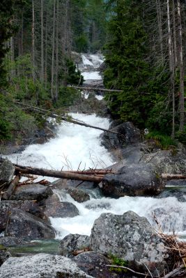 36692418346 f4772742df o