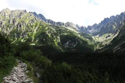 36692466836 2cff8b0133 o