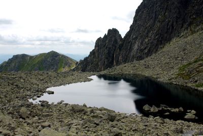 36739336795 6664eab13b o