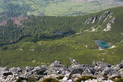 36739352465 6ebe7bccfc o