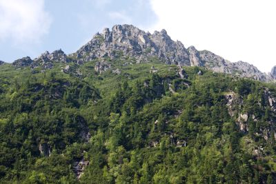 36739419285 7c4dabd915 o