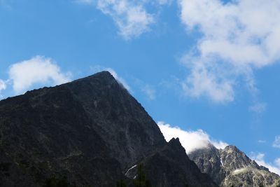 36739478385 9841de5f8c o