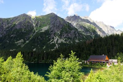 36739496645 faaa8cd0b9 o