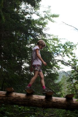 36600046411 3403492dcb o